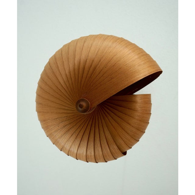 Wooden Nautilus Ceiling Lamp attributed to Hans Agne Jakobsson, 1960s For Sale - Image 15 of 16