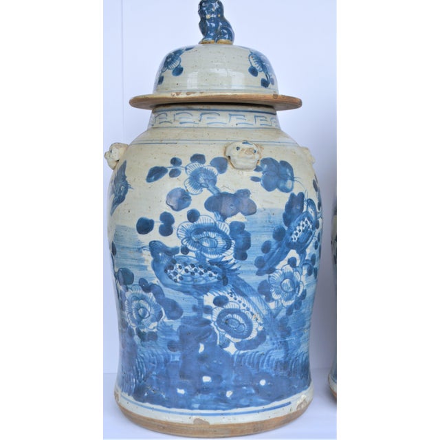 Chinoiserie White & Blue Baluster Temple With Birds / Ginger Jars - a Pair For Sale - Image 4 of 5