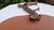 19th-Century Carved and Painted Wooden Horse Collar For Sale - Image 9 of 10