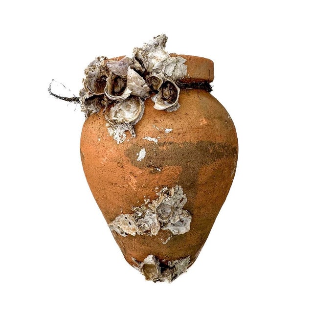Originally sourced in Portugal, these encrusted oyster pots are nature's art creation. These highly unique, vintage...