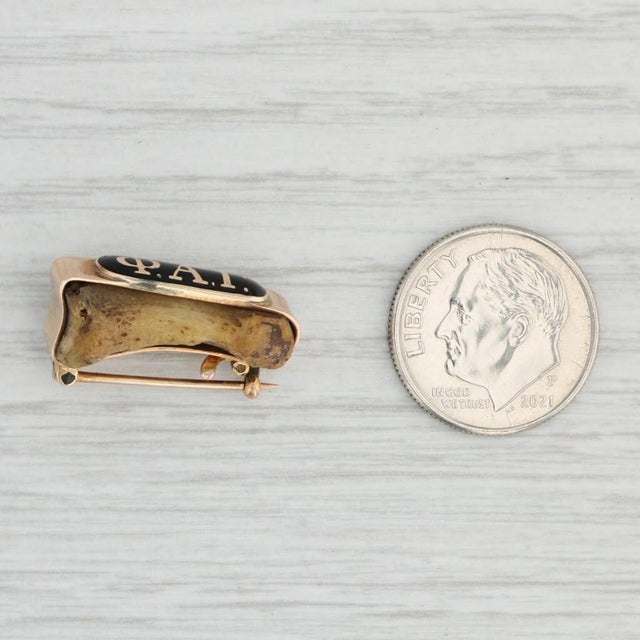 Antique Phi Alpha Gamma Bone Badge 14k Gold Enamel Medical Fraternity Pin For Sale - Image 4 of 4