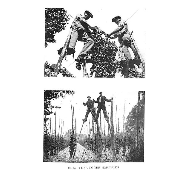 "The Countryman's England" 1935 Hartley, Dorothy For Sale - Image 4 of 9