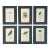 Set of 6 Antique Hand-Colored Sowerby Seaweed Prints For Sale