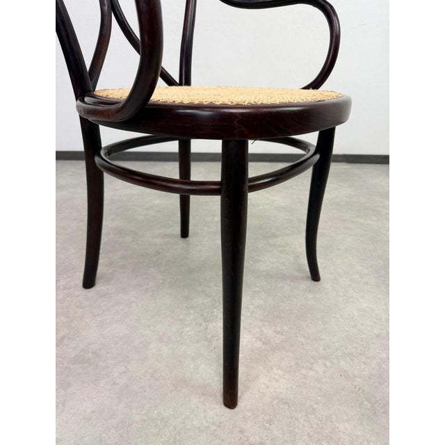 Brown Nr.19 Angel Back Armchair in Bentwood attributed to Thonet, 1890s For Sale - Image 8 of 14