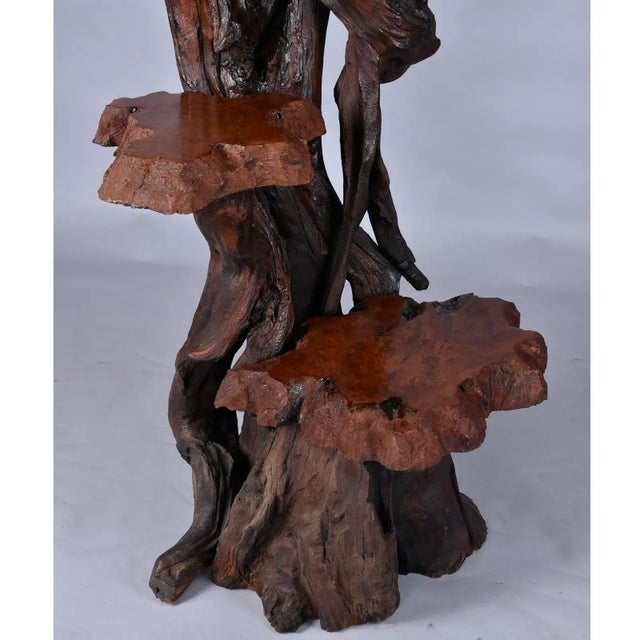Wood Large Rustic Live Edge Tree Trunk Plant Stand or Art Pedestal For Sale - Image 7 of 13