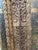 Brown Antique Indian Teak Wood Door Panel With Hand-Carved Tree of Life For Sale - Image 8 of 9