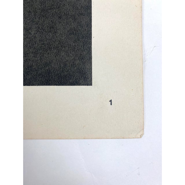 Photorealism Framed Vintage Botanical Blossfeldt Print - No. 1 For Sale - Image 3 of 5