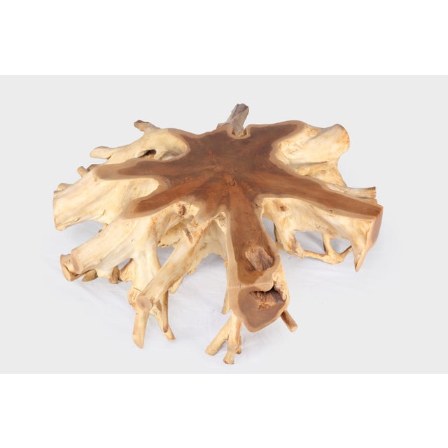 Round 36" Inch Organic Teak Root Coffee Table 28 For Sale In Greensboro - Image 6 of 6