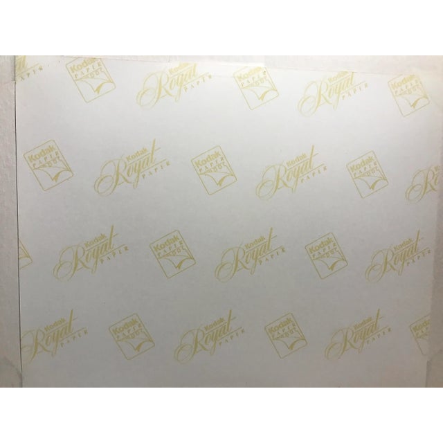 Framed Praying Mantis Photograph For Sale - Image 4 of 8