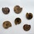Set of Six Split and Polished Ammonite Fossils For Sale - Image 4 of 12