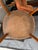 Petite Art Deco Channel Back Shell Chairs, Pair For Sale - Image 12 of 13
