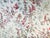 Pierre Frey Pierre Frey "Cochinchine” Print– 10 Yards For Sale - Image 4 of 7