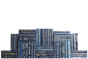 Decorative Books - Navy Book Wall - Set of 50 Blue Books