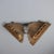 Antique Shelves Gilded Wood Italy Xviii Century For Sale - Image 5 of 7