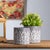 Elevate your plant displays with our Ornate Metal Planter Set. Featuring beautifully distressed grey tones and intricate...