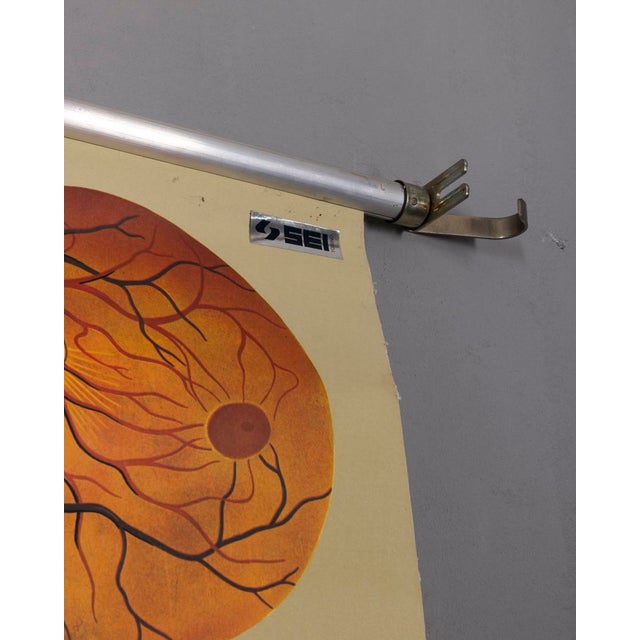 Tan Vintage School Poster the Eye and Its Functions from Lehrmittelverlag Wilhelm Hagemann, 1970s For Sale - Image 8 of 15