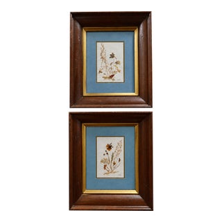 Vintage Erika Originals Swiss Pressed Botanical Flower Art, Pair — Matted & Framed Alpine Wildflowers For Sale
