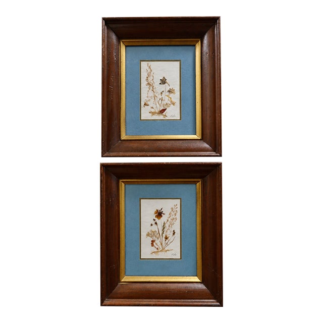Vintage Erika Originals Swiss Pressed Botanical Flower Art, Pair — Matted & Framed Alpine Wildflowers For Sale