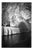 Paul Cooklin, Bruges, Belgium 44, Edition of 50 For Sale