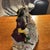 1940s Very Early Piece Dresdan This Piece and More to Come R Consigned to Me I Have Documentation if Need for Anyone For Sale - Image 5 of 11