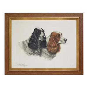 Mid 20th Century Danchin Framed Springer Spaniel Etching Sporting Dog Art
