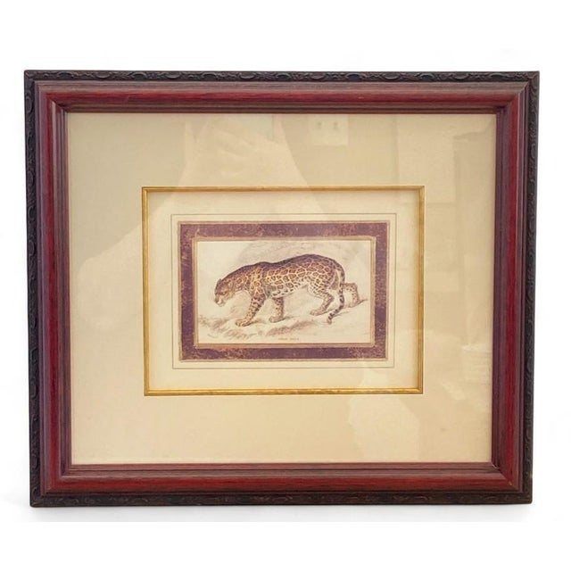 Pair: Vintage Jaguar Felis Onca Book Plate Lithographs Framed Art Print Big Cats For Sale - Image 13 of 18