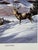 1990s 1990s Jocelyn Lillpop Russell Sand Dunes Delegation Signed Numbered Wildlife Print Mule Deere Mountains For Sale - Image 5 of 8