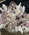 Annalise Shell Decorated Mirror For Sale - Image 9 of 9