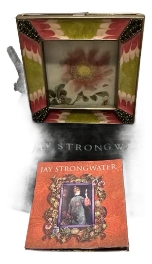 Jay Strongwater Pink & Green Square Frame