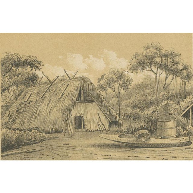 Suriname Jungle Life and Sacred Stone Lithographs by Karl Martin, 1888, Set of 2 For Sale - Image 4 of 10
