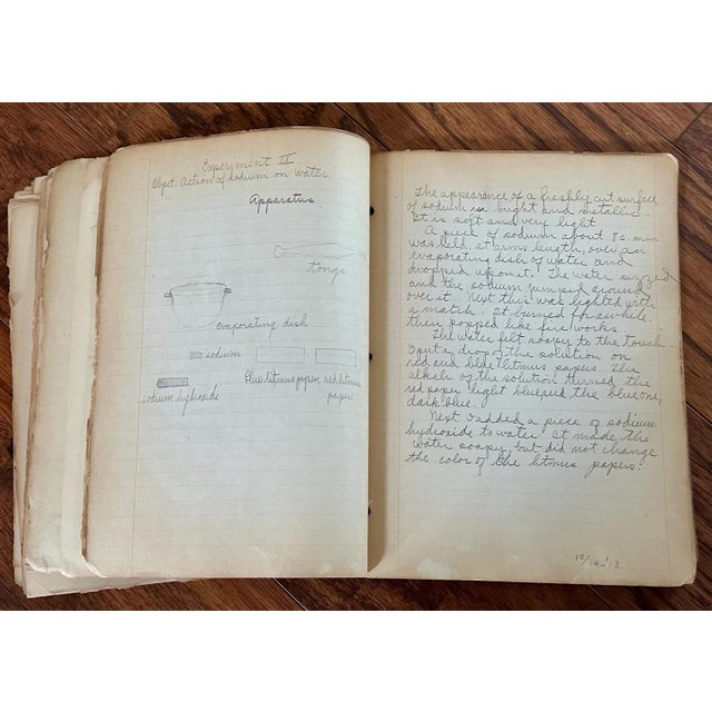 Antique Botany Herbarium: 1900s Lab Notes & Drawings - Columbia City High School For Sale - Image 6 of 10
