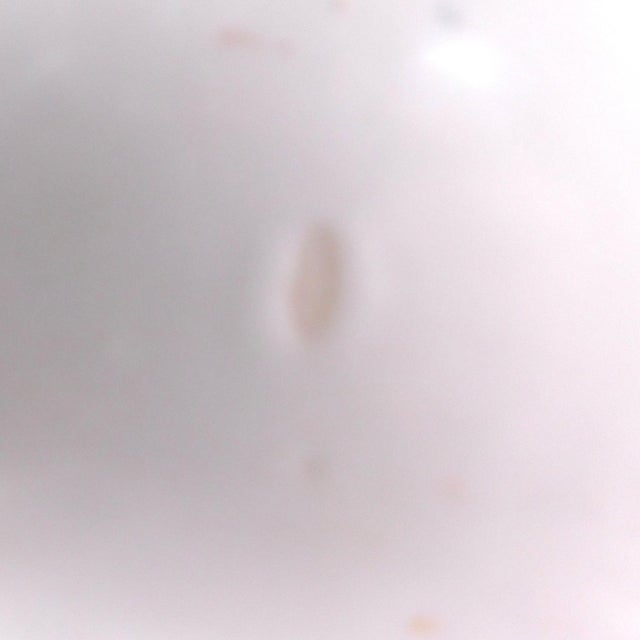 1950s Royal Bayreuth Jug With Reticulated Trim and Unique Handle Design For Sale - Image 9 of 12