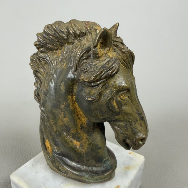 Bronze Sculpture of Achilles' Horse on a Marble Base by R. Santoro, 20th Century For Sale - Image 6 of 11