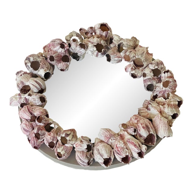1970s Coastal Sculptural Barnacles Clusters Shell Round Mirror For Sale