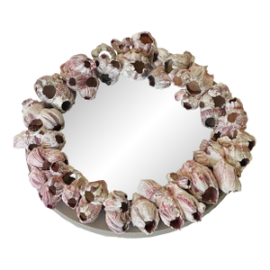 Round Grotto Barnacles Shell Mirror