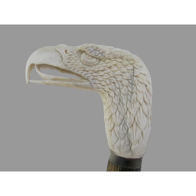 Wood Eagle Head Finely Carved Deer Antler Antique Walking Stick Cane For Sale - Image 7 of 8