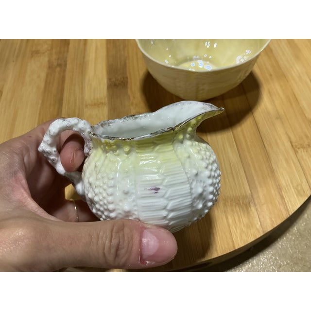 Vintage Irish Belleek Porcelain "Echinus" Sea Urchin Creamer & Sugar Set - 6th Mark For Sale - Image 4 of 8