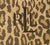 Textile Lauren Ralph Lauren Leopard Print King Flat Sheet For Sale - Image 7 of 14
