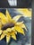 Design Plus Gallery presents a Circa 1994 “Sunflower Twist” Framed Watercolor by artist Peggy Clark. The watercolor...