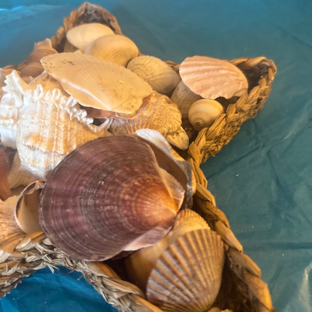 Wood Starfish Woven Basket Filled With Seashells For Sale - Image 7 of 12