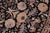 Shabby Chic Floral 1990's Pak-Persian Black/Black Wool Round Rug - 8'1'' X 8'5'' For Sale - Image 4 of 9