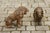 Pair of Italian 1880s Small Walnut Hand Carved Lion Sculptures with Dark Patina For Sale - Image 9 of 12