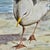 Realism Seagull Oceanscape Beach Oil Painting by Judy Rathburn Whitney For Sale - Image 3 of 8