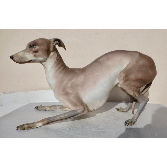 Life Size Antique French Porcelain Grey Hound 1867 ( 159 Years Old) For Sale - Image 9 of 16