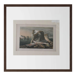 Antique 19th-Century Color Etching: "Roter Schnee in Der Baffinsbai" (Red Snow in Baffin Bay)