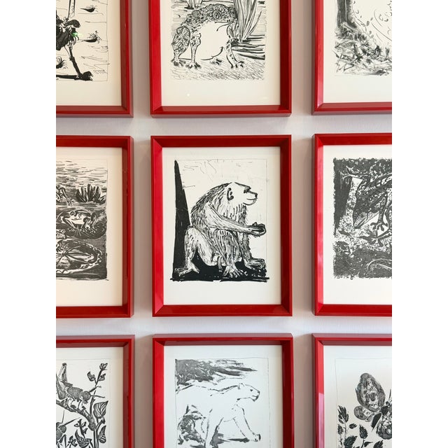 Pablo Picasso After Pablo Picasso “Eaux-Fortes Originales Pour Les Textes De Buffon” Suite of Twelve Framed Lithographs 1970s For Sale - Image 4 of 5