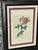 1970s P.F.Redoute Botanical Print Rosa Indica in Wide Frame For Sale In Miami - Image 6 of 6