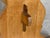 Danish Oak Extension Trestle Dining Table in the manner of Henning Kjærnulf For Sale - Image 6 of 14