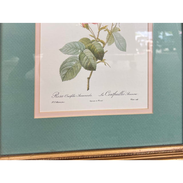 Late 20th Century Late 20th Century Pierre-Joesph Redoute’ Rose Botanical Framed Prints- Pair For Sale - Image 5 of 7