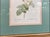 Late 20th Century Late 20th Century Pierre-Joesph Redoute’ Rose Botanical Framed Prints- Pair For Sale - Image 5 of 7